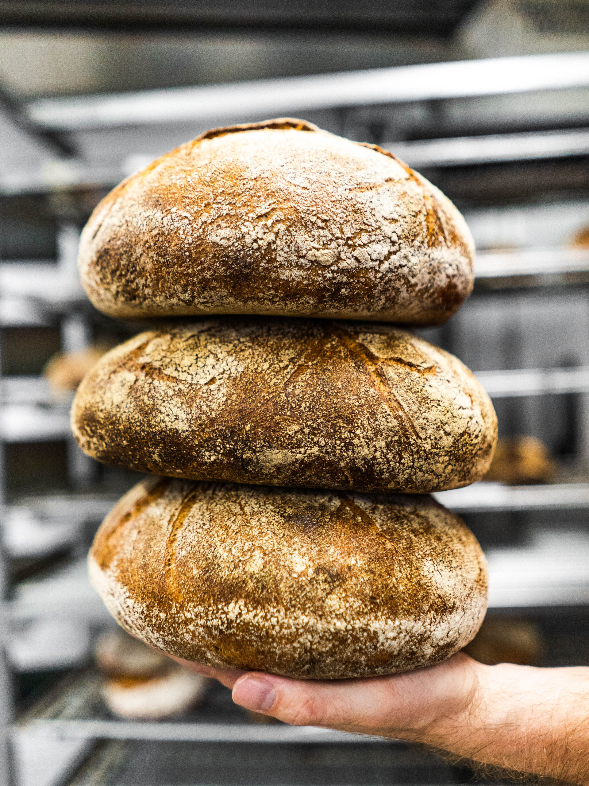 nimble_asset_DSC03793-scaled